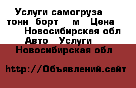 Услуги самогруза 3-5 тонн, борт 6,6м › Цена ­ 900 - Новосибирская обл. Авто » Услуги   . Новосибирская обл.